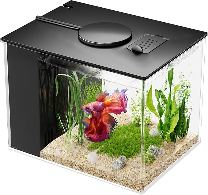 TopFin Essentials 29-Gallon Aquarium Kit
