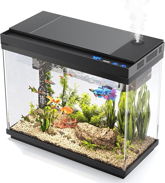 TopFin Essentials 5-Gallon Betta Starter Kit